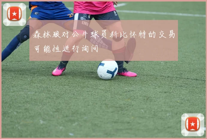森林狼对公牛球员科比怀特的交易可能性进行询问