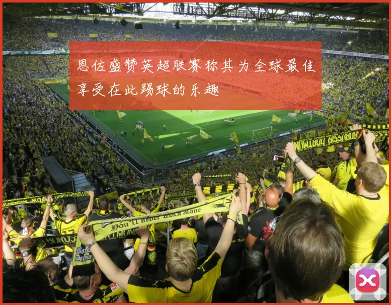 恩佐盛赞英超联赛称其为全球最佳享受在此踢球的乐趣