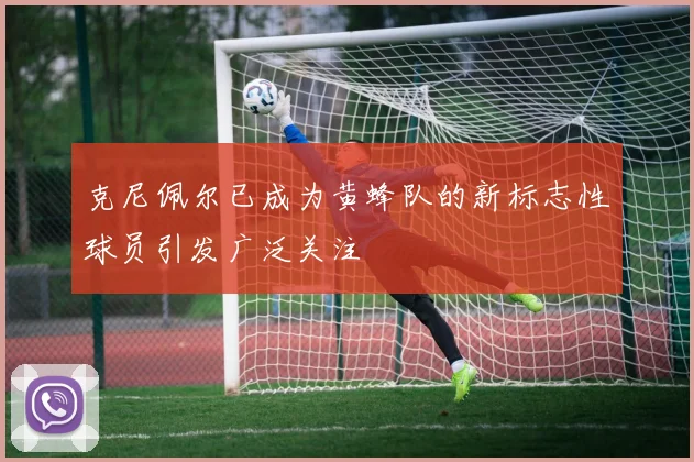 克尼佩尔已成为黄蜂队的新标志性球员引发广泛关注