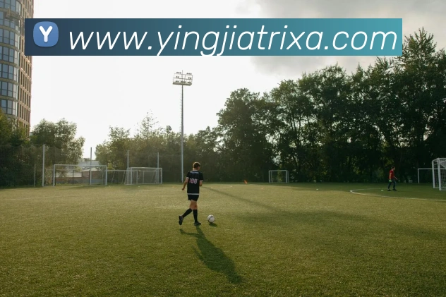 App Interface Preview